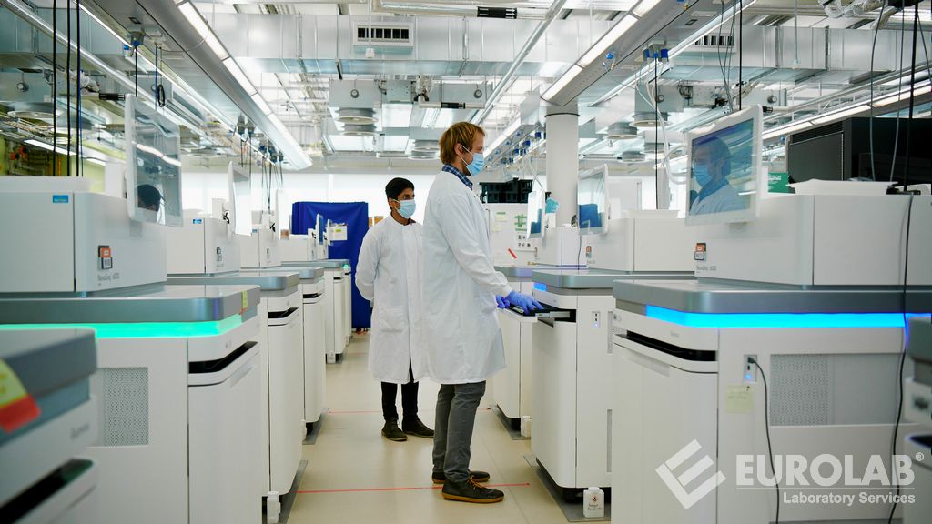 (CE) Direttiva 1935/2004 Analisi Generale della Migrazione