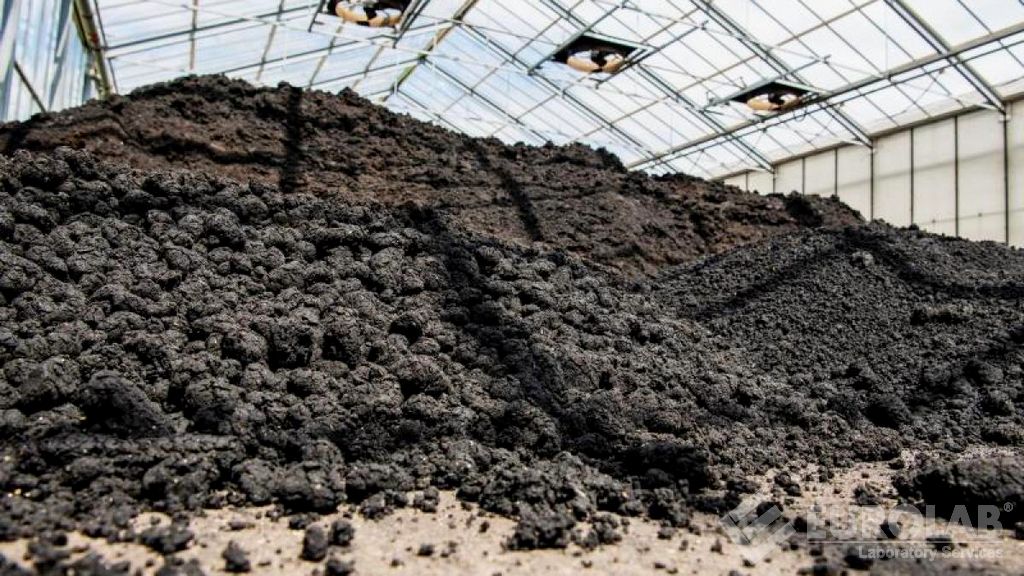 Determinazione dei fanghi di trattamento (TS EN 12457-4)