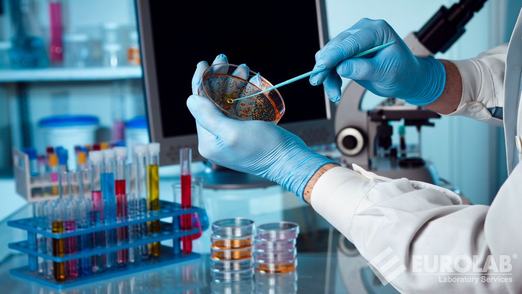ASTM Testleri Listesi