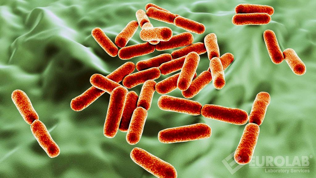 Bakteriyel Endotoksin Tayini (European Pharmacopoeia 2.6.14 Bacterial Endotoxins)
