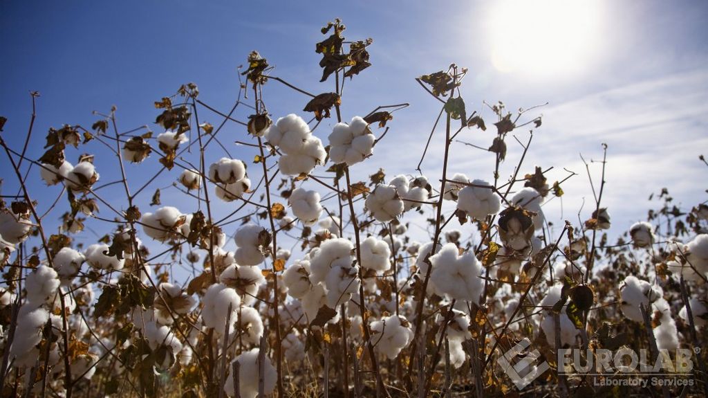 Screening del gene del cotone specifico per piante