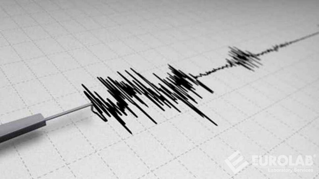 Deprem Performans Analizi