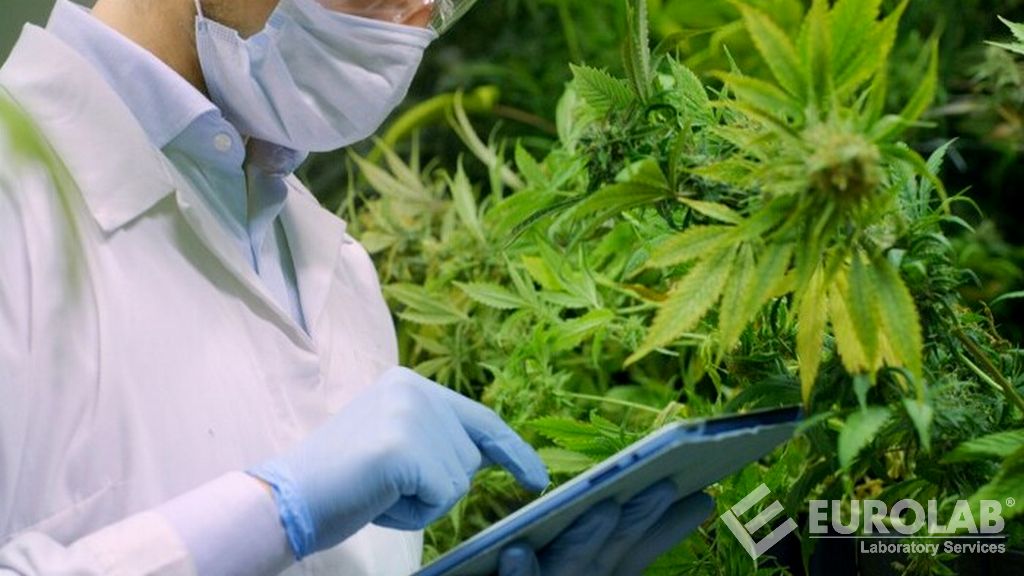 Dithiocarbamate Pesticide Analysis Dithiocarbamate Pesticide Analysis