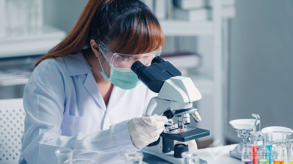 Analisi della conta degli enterococchi Analisi della conta degli enterococchi