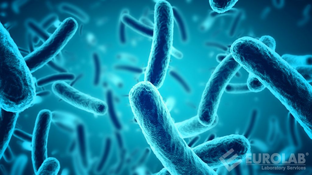 Fungisidal Aktivitenin Değerlendirilmesi