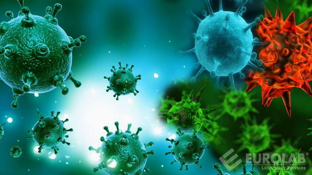 Test di attività fertili