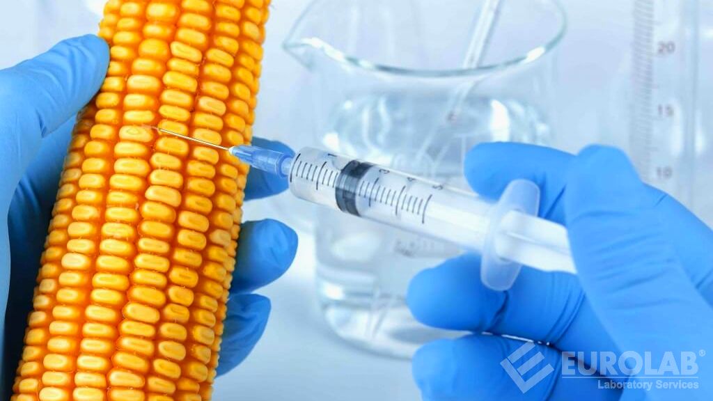 Dépistage des OGM dans les aliments