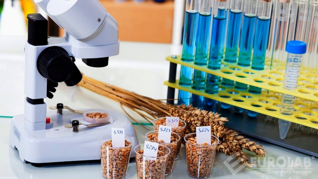 Analisi chimica negli alimenti Analisi chimica negli alimenti