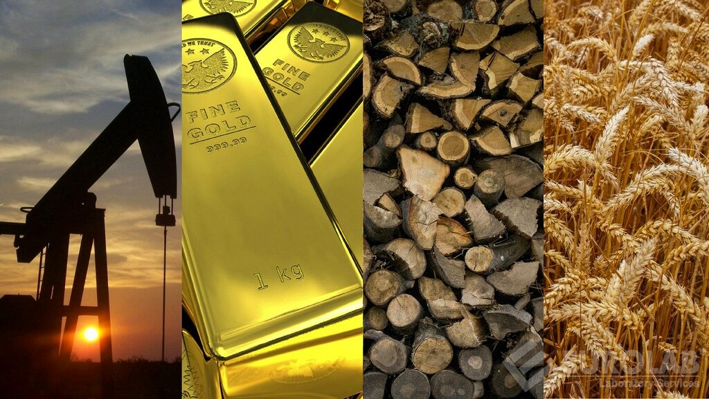 Test giornalieri del prodotto Test giornalieri del prodotto