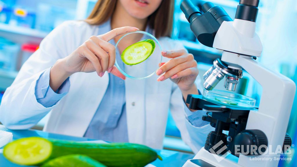 ISO 11290-1 Microbiology of the Food Chain - Horizontal Method for Detection and Enumeration of Listeria Monocytogenes and Listeria Spp. - Part 1: Method of Detection