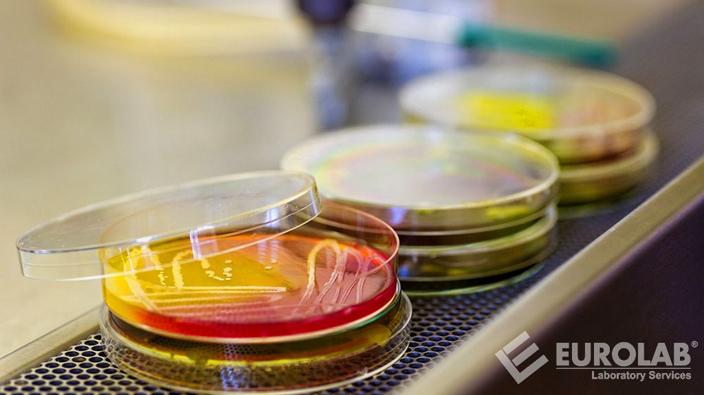 ISO 17516 Cosmetics - Microbiology - Microbiological Limits ISO 17516 Cosmetics - Microbiology - Microbiological Limits