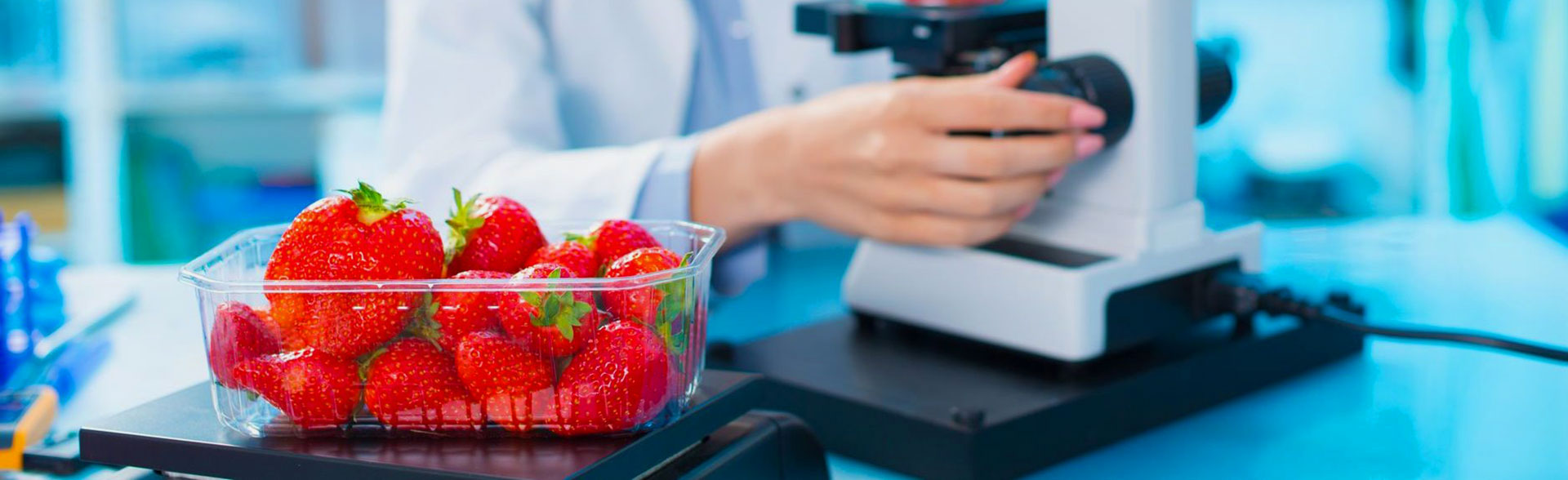 Oznaczanie rodzaju żywności i paszy Analiza GMO