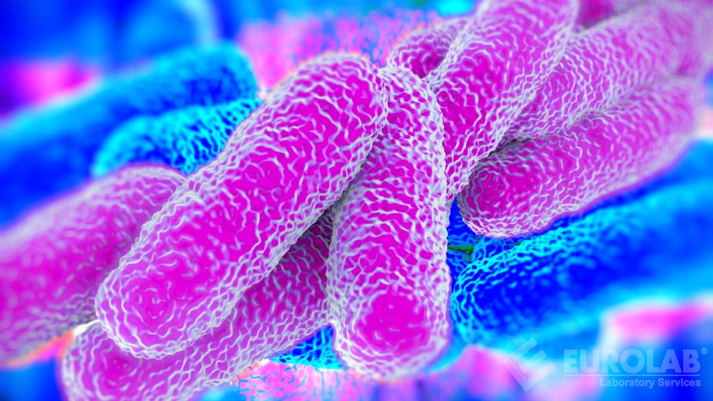 Censimento Legionalla