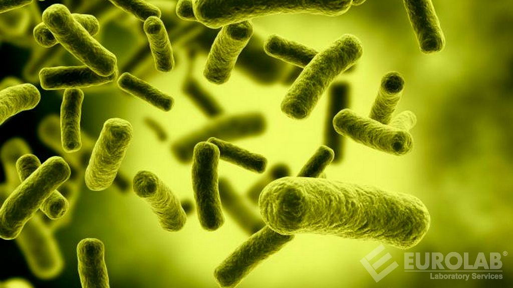 Conta legionella (ISO 11731)