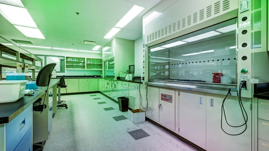 Mercedes-Benz DBL 1250 Poliüretan Köpükler