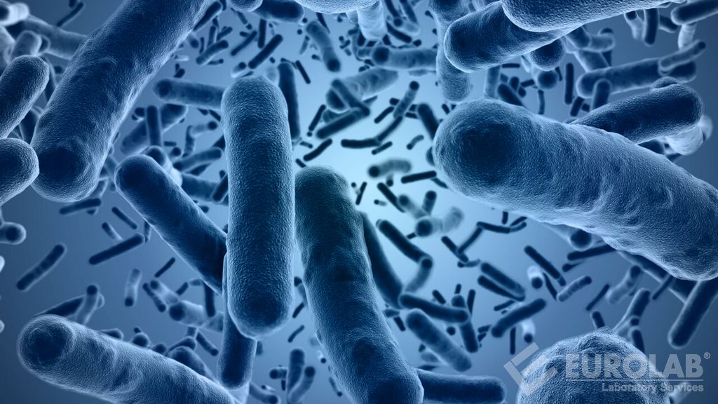 Mikrobiyolojik Testler - Bacillus Cereus Sayımı
