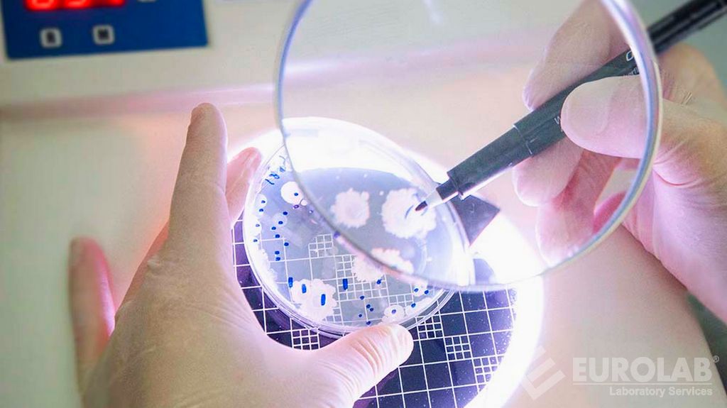 Microbiological Tests - Enterobacteriaceae Enumeration