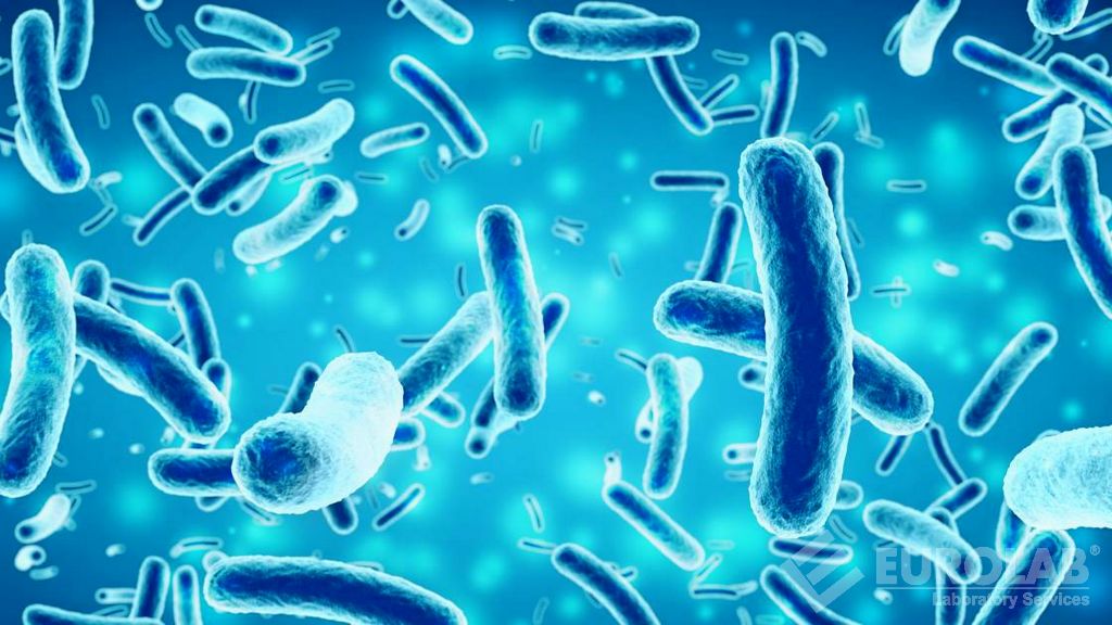 Tests microbiologiques - Recherche de Vibrio spp (Vibrio parahaemolyticus et Vibrio cholerae)