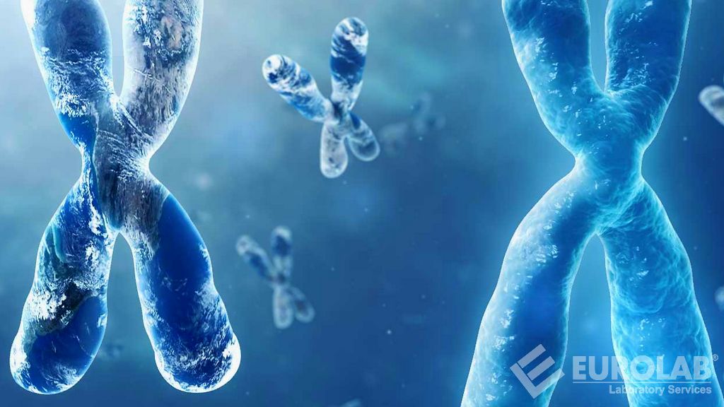 OECD 471 Bacterial Reverse Mutation Test