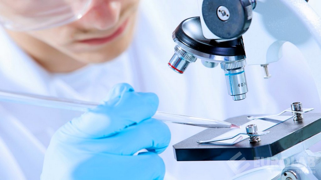Determinazione degli idrocarburi policiclici aromatici (IPA) (benzo (a) antracene, (benzo (a) pirene, benzo (b) fluorantene), Krisen]