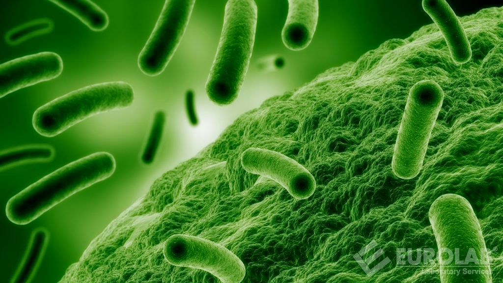 Conteggio dello sport con la corda Conteggio dello sport con la corda