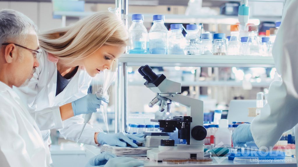 Specific Migration - Determination of Phthalate