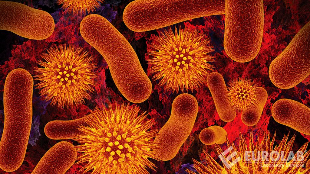 Conta specifica dei microrganismi Conta specifica dei microrganismi