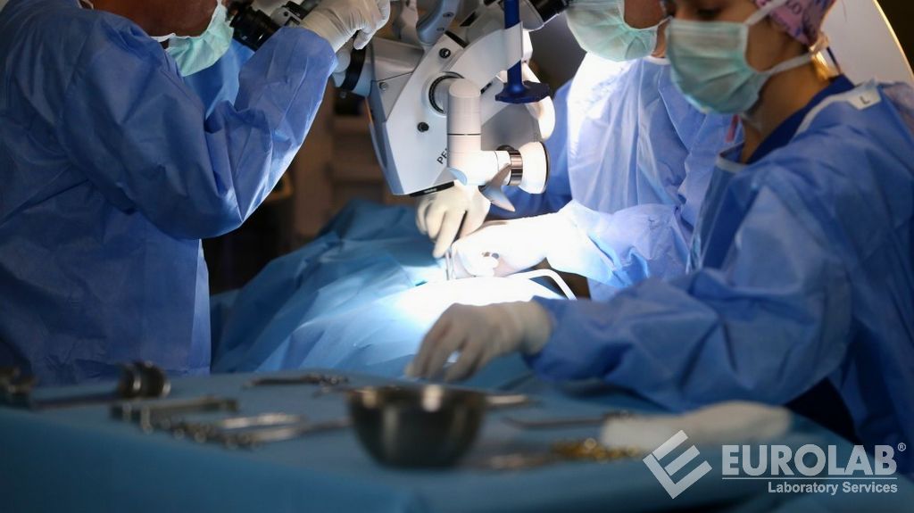 Caratteristiche di base dell'apparecchio elettrochirurgico STANAG 2979 Caratteristiche di base dell'apparecchio elettrochirurgico STANAG 2979