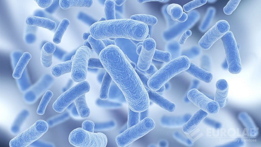 Liczba bakterii beztlenowych redukujących siarczyny