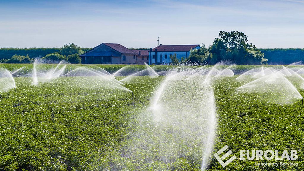 Analisi della qualità dell'acqua di irrigazione agricola Analisi della qualità dell'acqua di irrigazione agricola