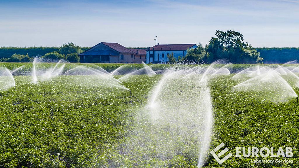 Analyse de la qualité de l'eau d'irrigation agricole