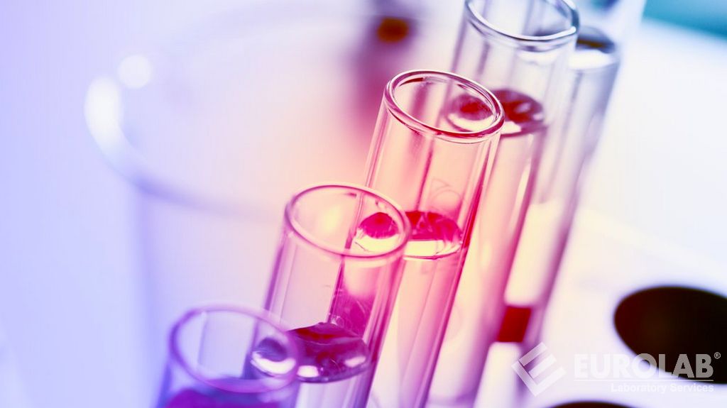 Toksik Değerlendirme Testleri