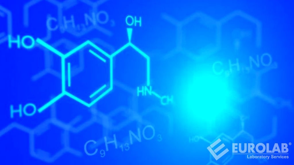 Analisis Kandungan Total Organic Carbon (TOC) dan Total Hydrocarbon (THC)