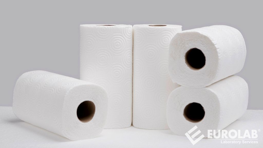 TS 11668 Asciugamani di carta