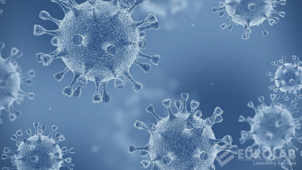 Test dell'adenovirus di tipo 5 nei test di attività virucida Test dell'adenovirus di tipo 5 nei test di attività virucida
