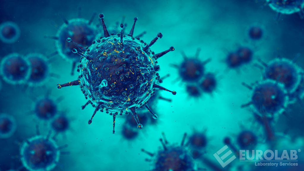 Test de norovirus murin dans les tests d'activité virucide